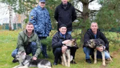 В УФСИН Марий Эл прибыли три щенка-героя для службы 