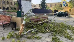 Туристка из Йошкар-Олы погибла в Дербенте из-за падения ветви