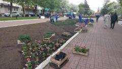 «Заморозки погубят все растения»:  Вильфанд дал прогноз на вторую половину мая - температура рухнет до минусовой