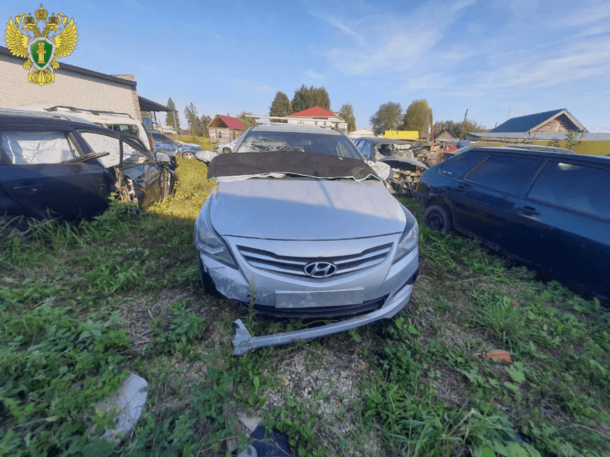 Житель Новоторъяльского района осужден за смертельное ДТП с велосипедистом