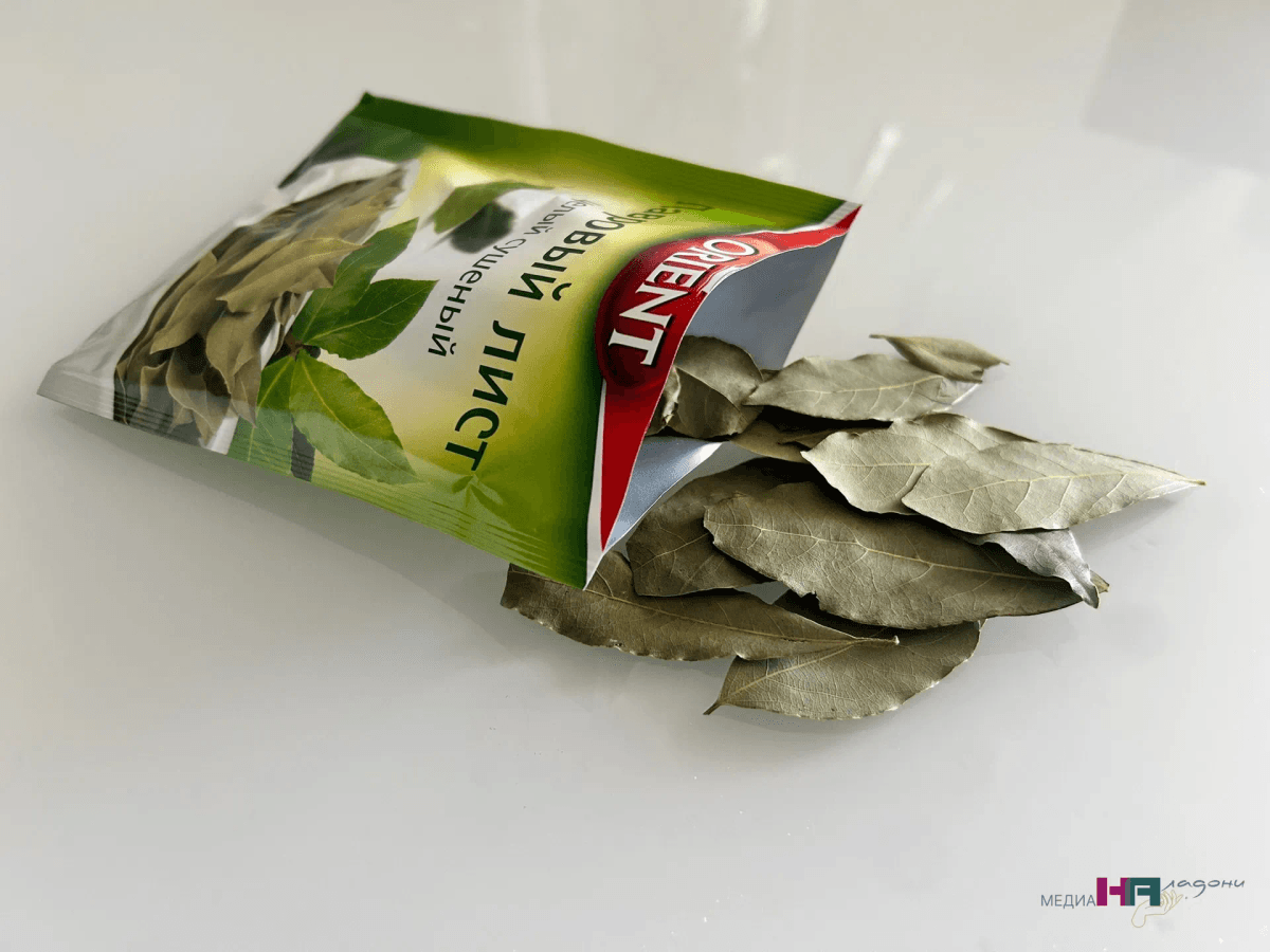 Закопайте сейчас лаврушку в огороде: осенний приём, который весной работает, как волшебство - дачники немеют от пользы