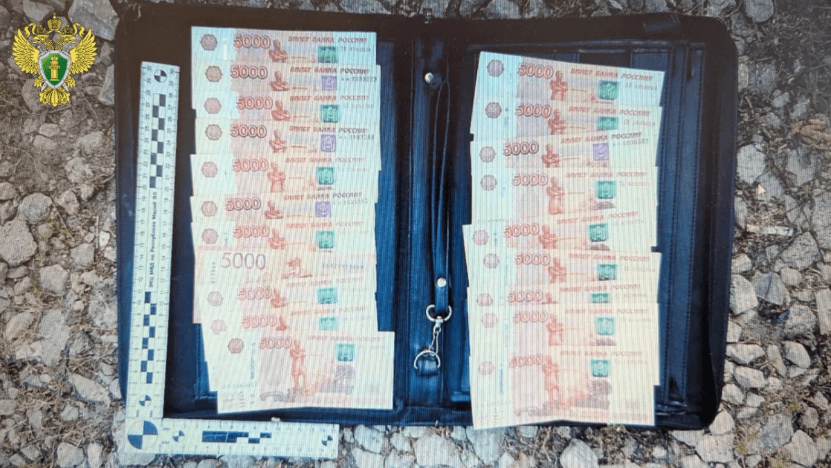 В Марий Эл возбуждено уголовное дело за попытку дачи взятки в 100 тысяч рублей