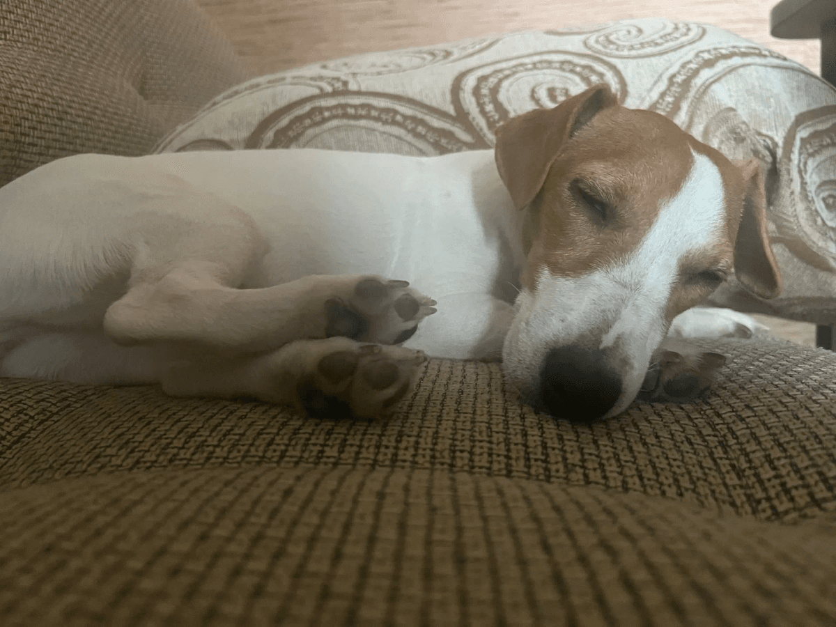 Пластыри на рот для лечения храпа могут привести к летальному исходу