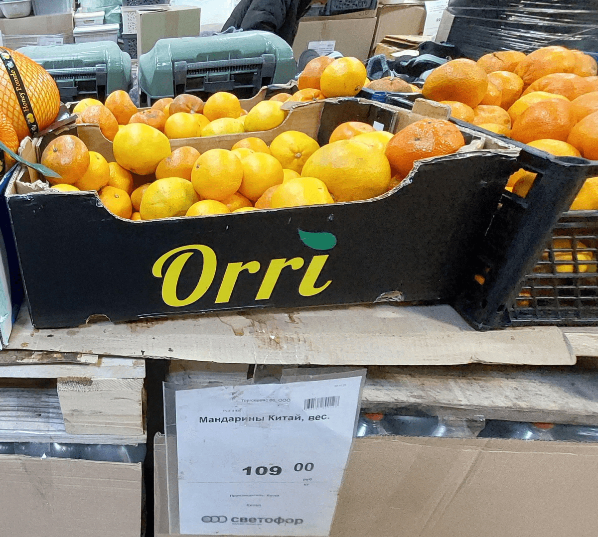 В «Светофоре» многое по доступным ценам:  выбираю рыбу и экзотический цитрус 