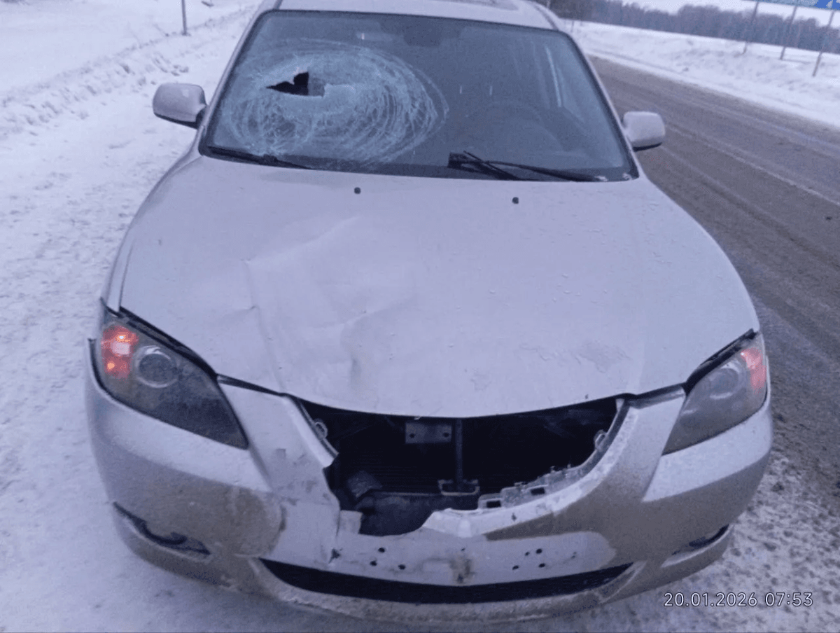 В Горномарийском районе произошло смертельное ДТП с пешеходом