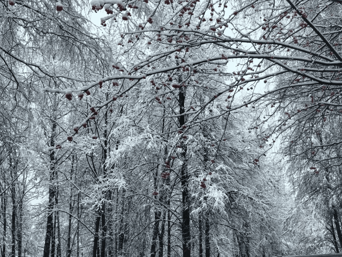 Аварии на коммунальных сетях и бытовые пожары: что ждет Марий Эл в январе по прогнозу МЧС