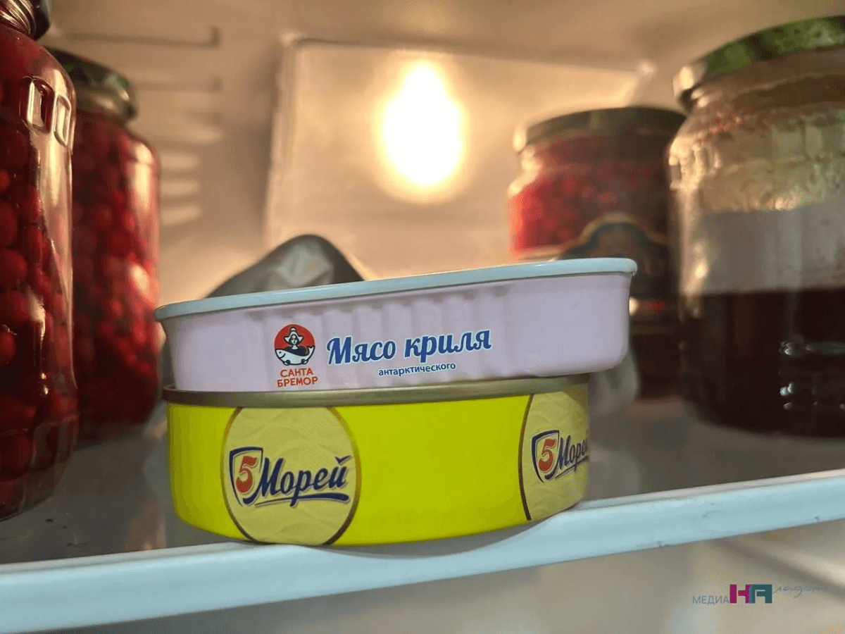 В составе мышьяк, бульон мутный, есть посторонний привкус: антирейтинг рыбных консерв — не берите даже кошкам