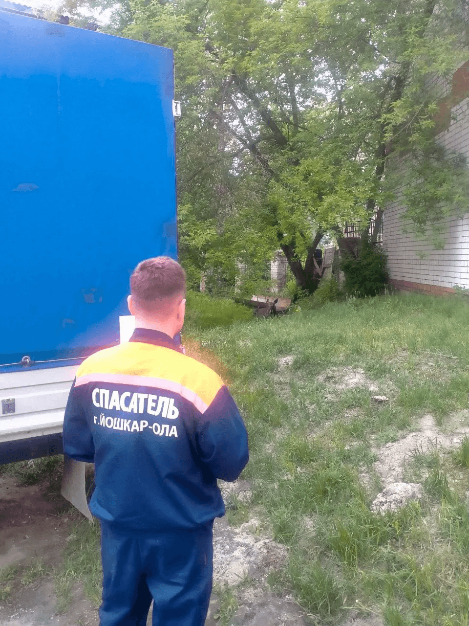Заблудившего в Йошкар-Оле лосенка спасатели вернули в лес