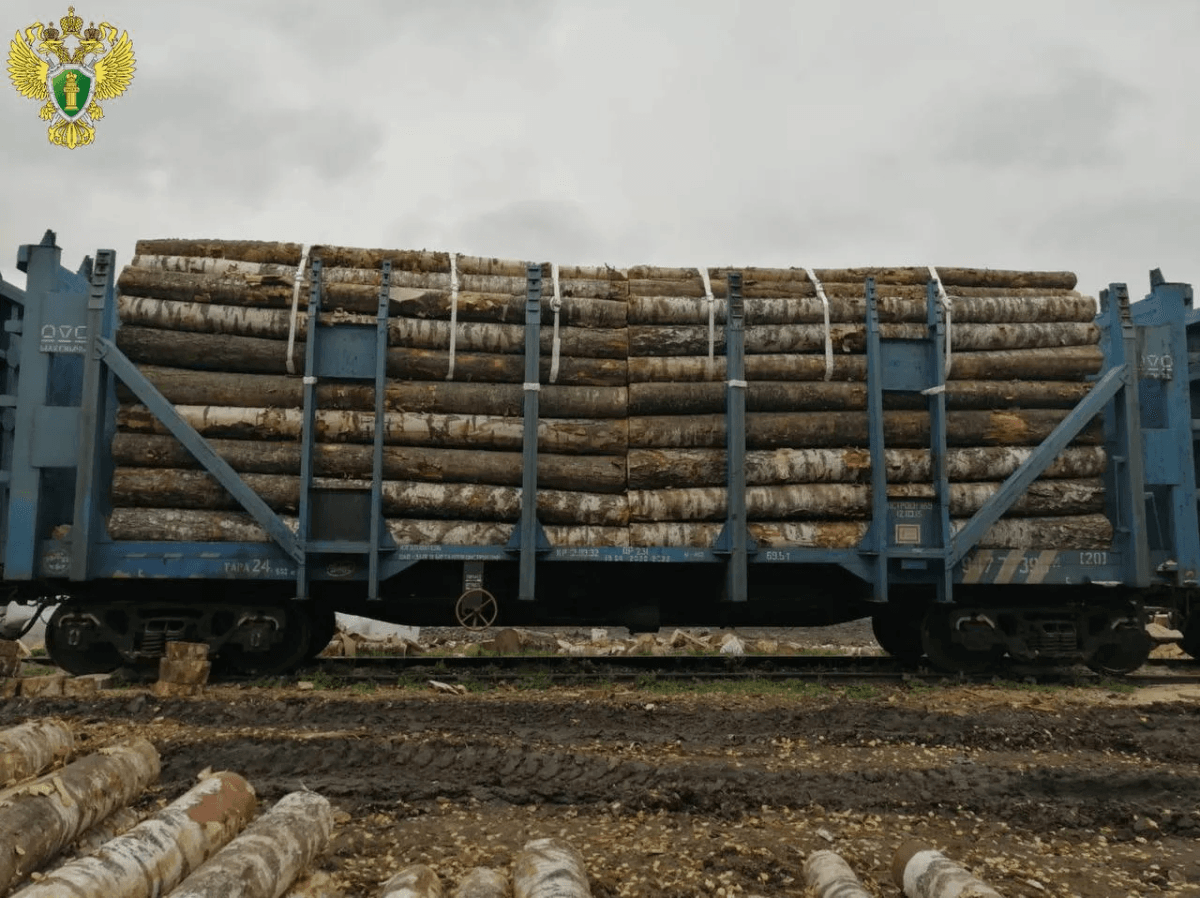 Нарушение торговле древесиной выявлено в Марий Эл