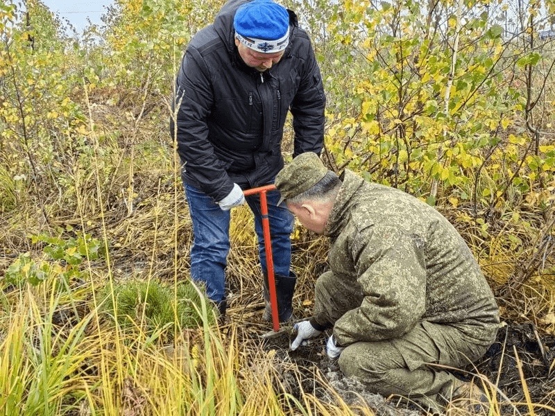 В Марий Эл за шесть лет восстановили лес на площади 21,7 тысячи гектаров