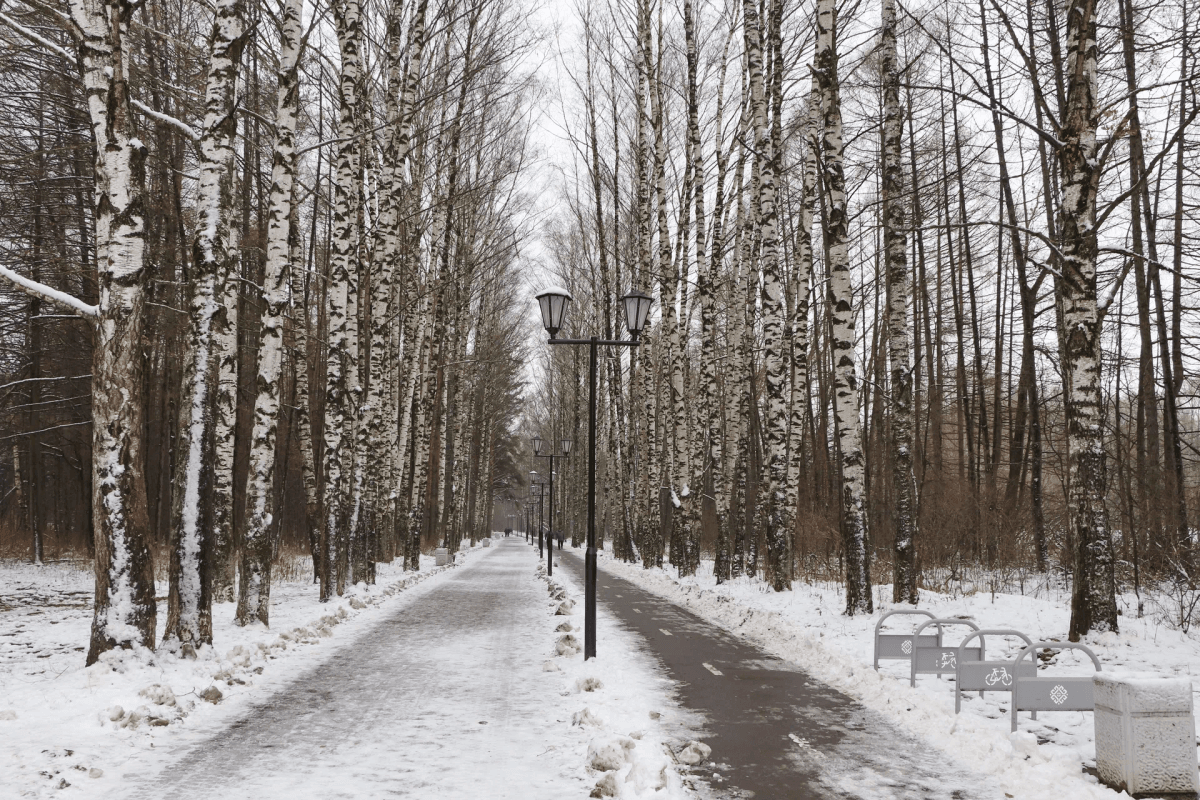 В Йошкар-Оле откроют памятник-копилку для помощи бездомным животным