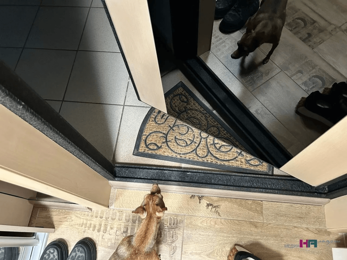 Никогда не здороваюсь и не передаю вещи через порог: узнала пугающее объяснение предков - вы перестанете так делать 