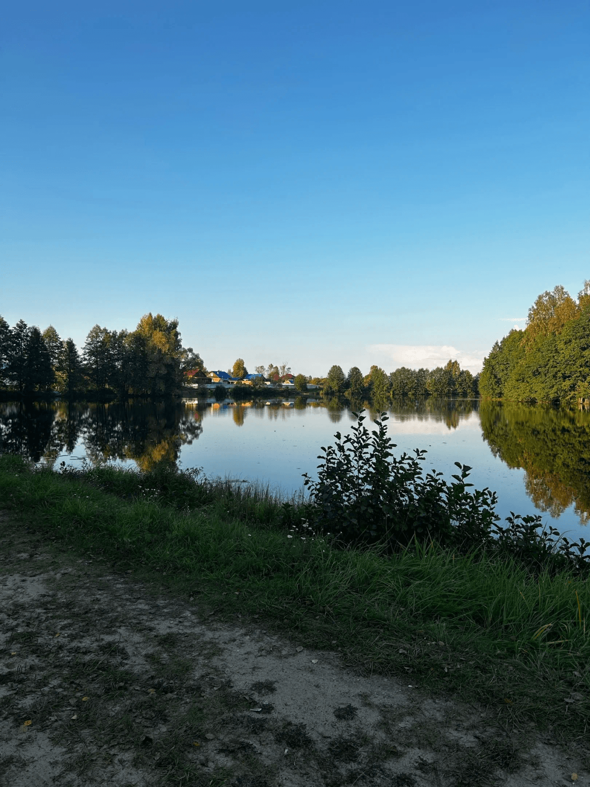 Дачников будут лишать земли: с 1 марта многих владельцев затронут новые правила