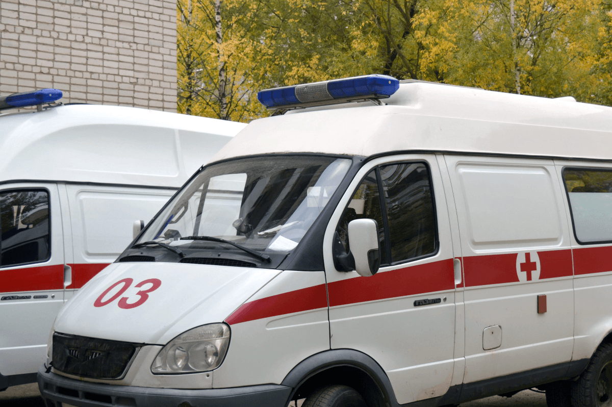 Житель Марий Эл заболел опасной лихорадкой дома
