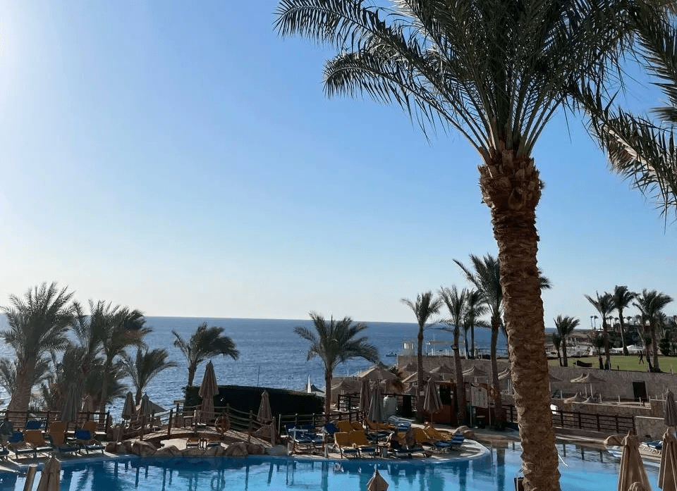 Российские туристы рассказали, с кем не хотят отдыхать за границей