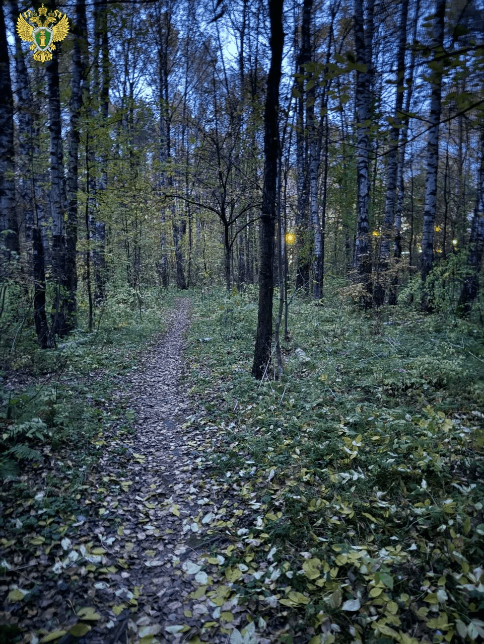 В Йошкар-Оле возбуждено дело против 16-летней девушки за попытку сбыта наркотиков