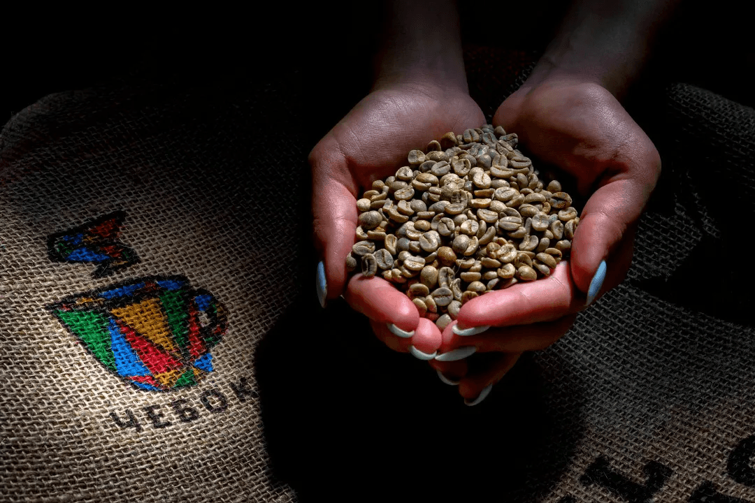 Натуральная или мытая: разбираемся, какую выбрать обработку для кофе и как она влияет на вкус