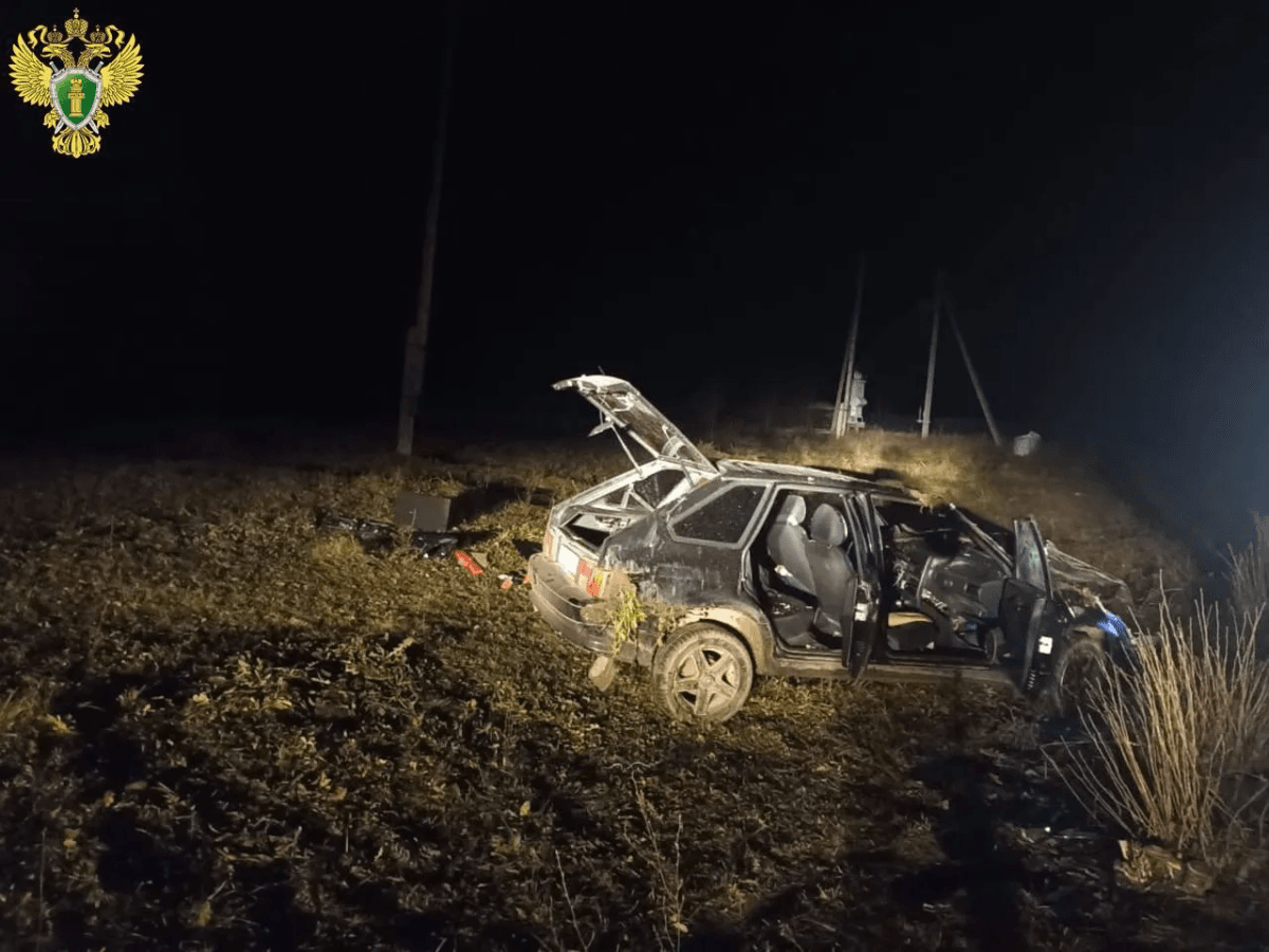 ВАЗ 2114 съехал в кювет в деревне Токтарсола: одна погибшая