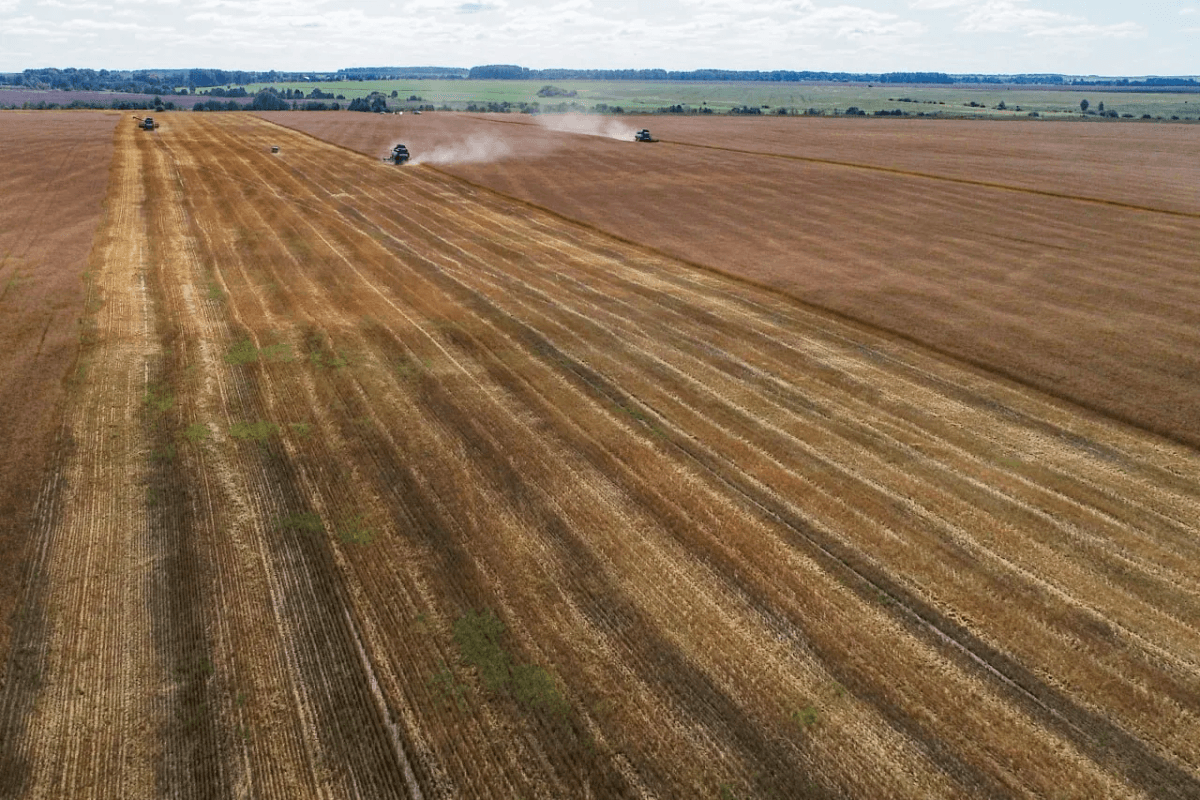 Аграрии Марий Эл намолотили 370 тысяч тонн зерна за сезон