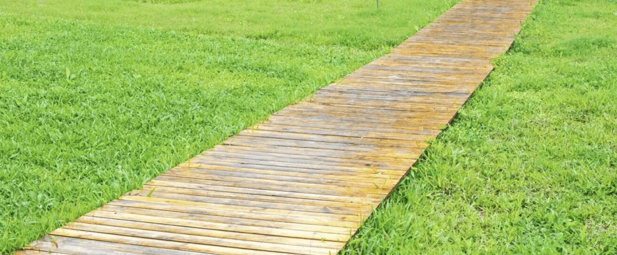 Доски, которые не гниют сто лет: дедовский способ обработки - о нем все забыли