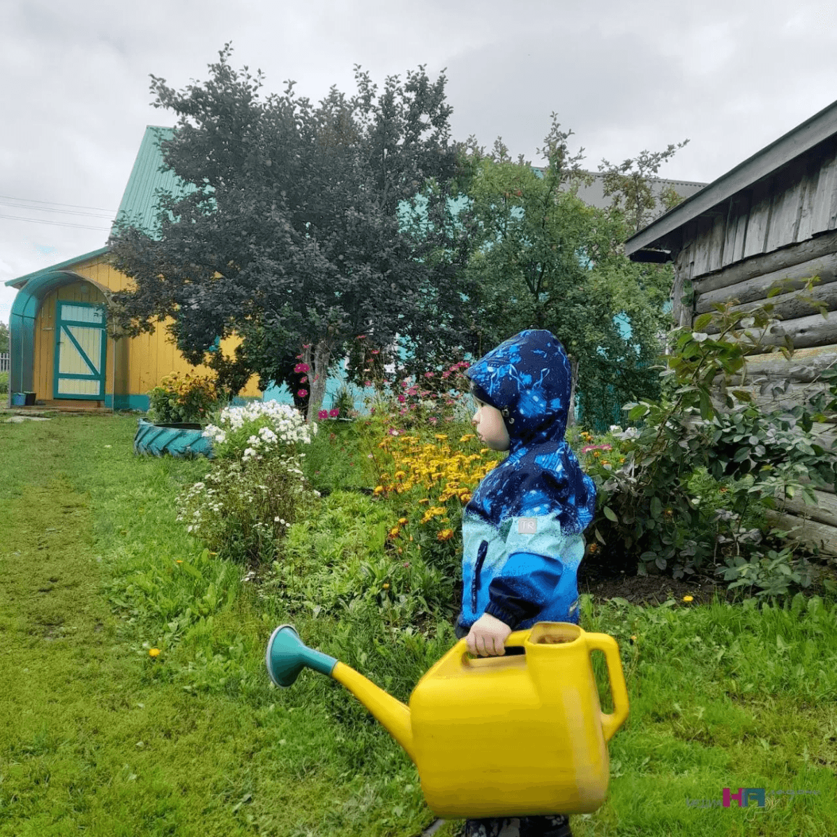 Соседи смеялись, когда увидели, как на огороде закапывают трусы — теперь делают то же самое: рассказываю для чего