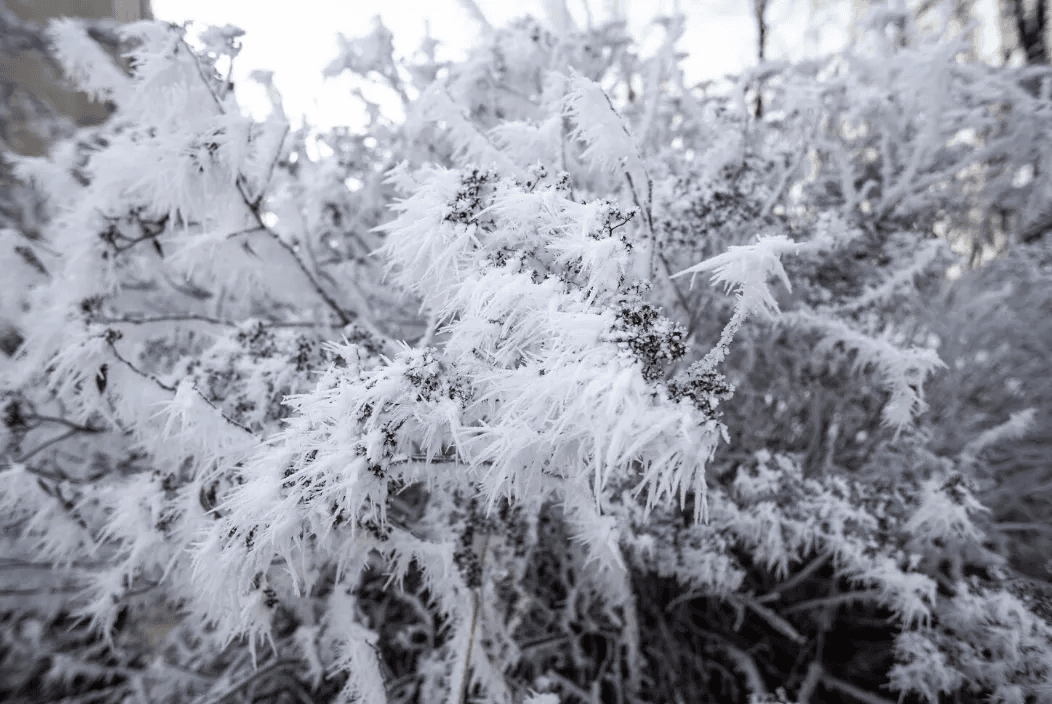 Грядущей зимой прогнозируют нечто, которого не бывало с 1779 года: синоптики подготовили ближайший прогноз        