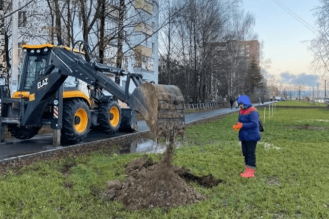 В Йошкар-Оле идет масштабная осенняя посадка деревьев