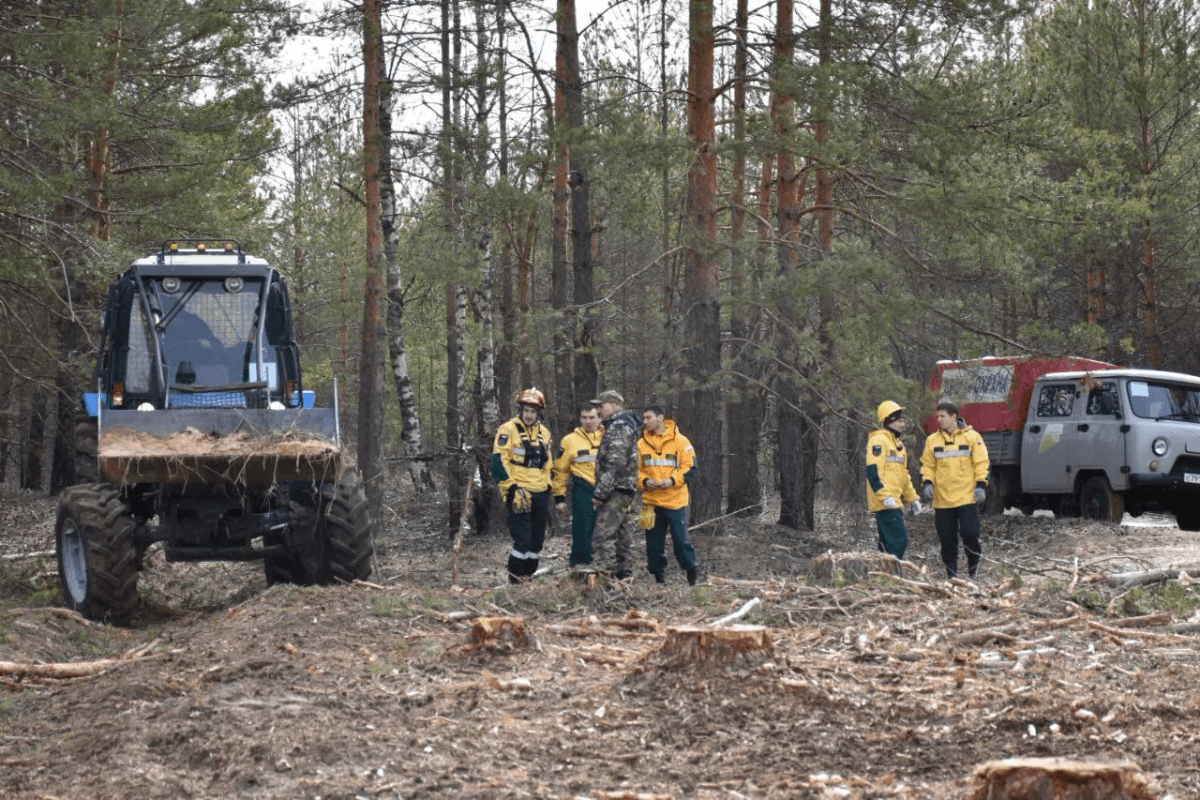  Марий Эл завершился пожароопасный сезон с двукратным снижением числа возгораний