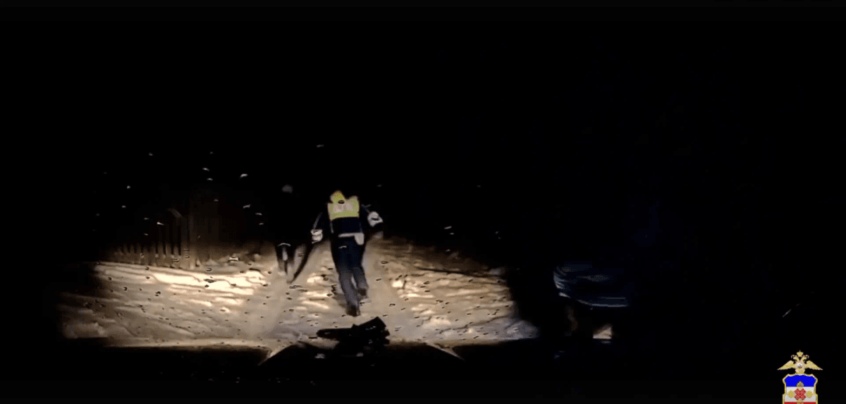 Ночной рейд ДПС: в лесу под Йошкар-Олой задержан мужчина с наркотиками