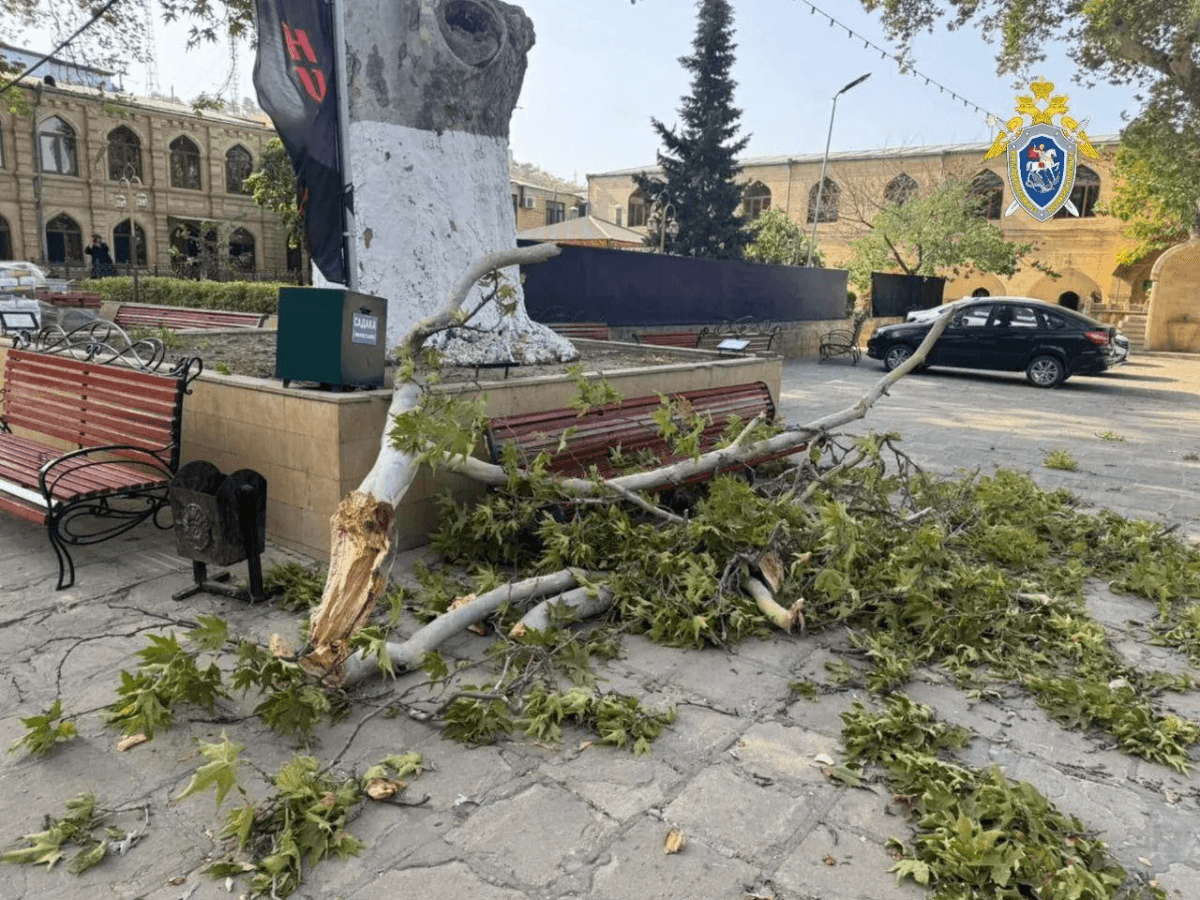 Туристка из Йошкар-Олы погибла в Дербенте из-за падения ветви