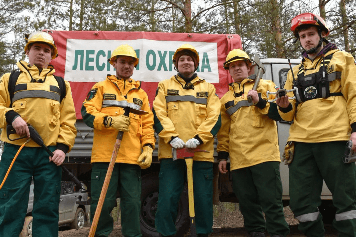 В Марий Эл завершился пожароопасный сезон 2025 года в лесах