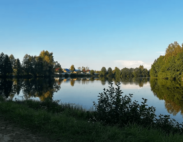 Родниковая вода кажется чистой и полезной — пить можно, но есть один нюанс
