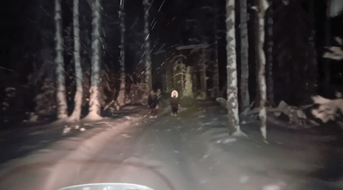 В Марий Эл спасатели на снегоходе нашли заблудившихся в лесу мужчину и подростка