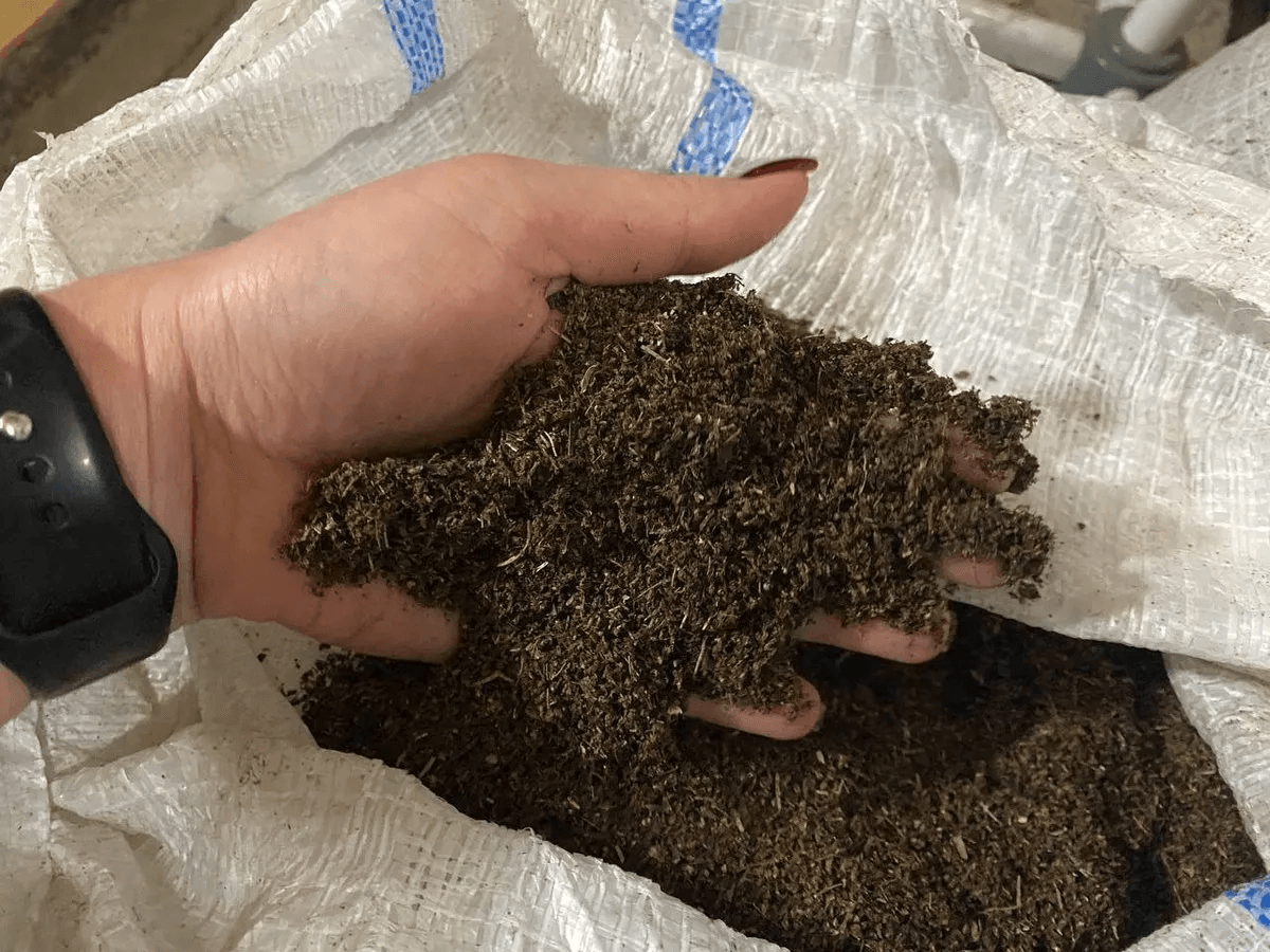 Две соседки на кухне природы: отличаем компост от перегноя, чтобы не кормить растения «полуфабрикатами»