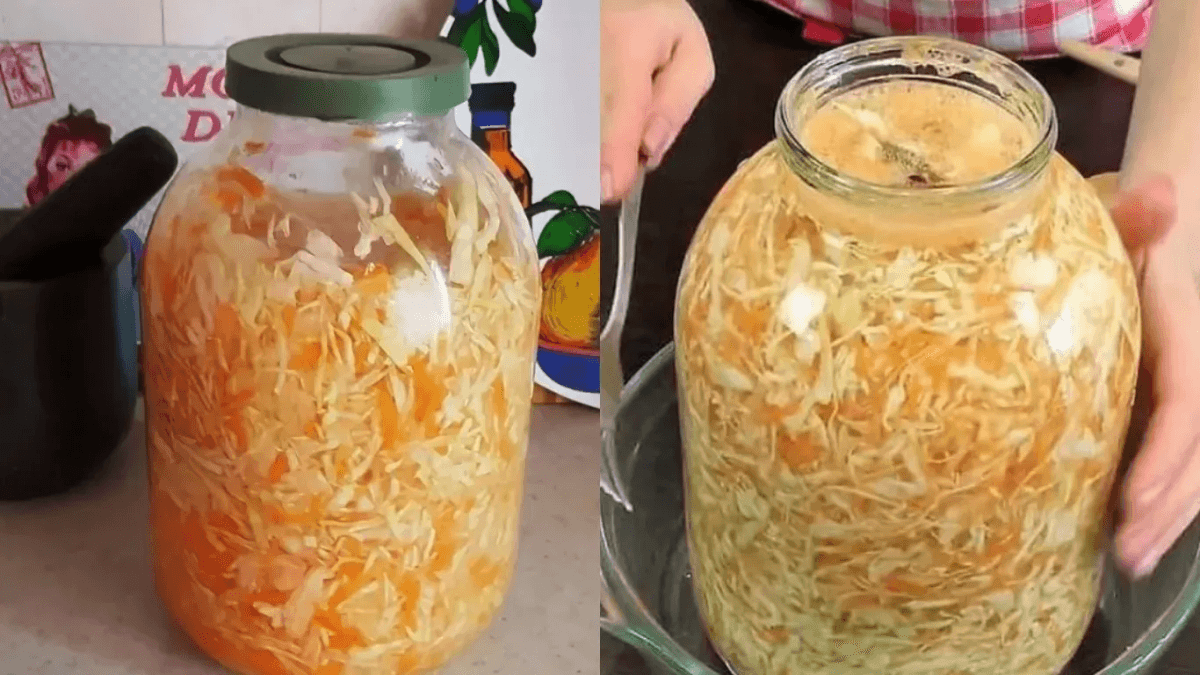 Освоил квашеную капусту за 4 дня - получается идеально. Зимой хрустит, как орехи