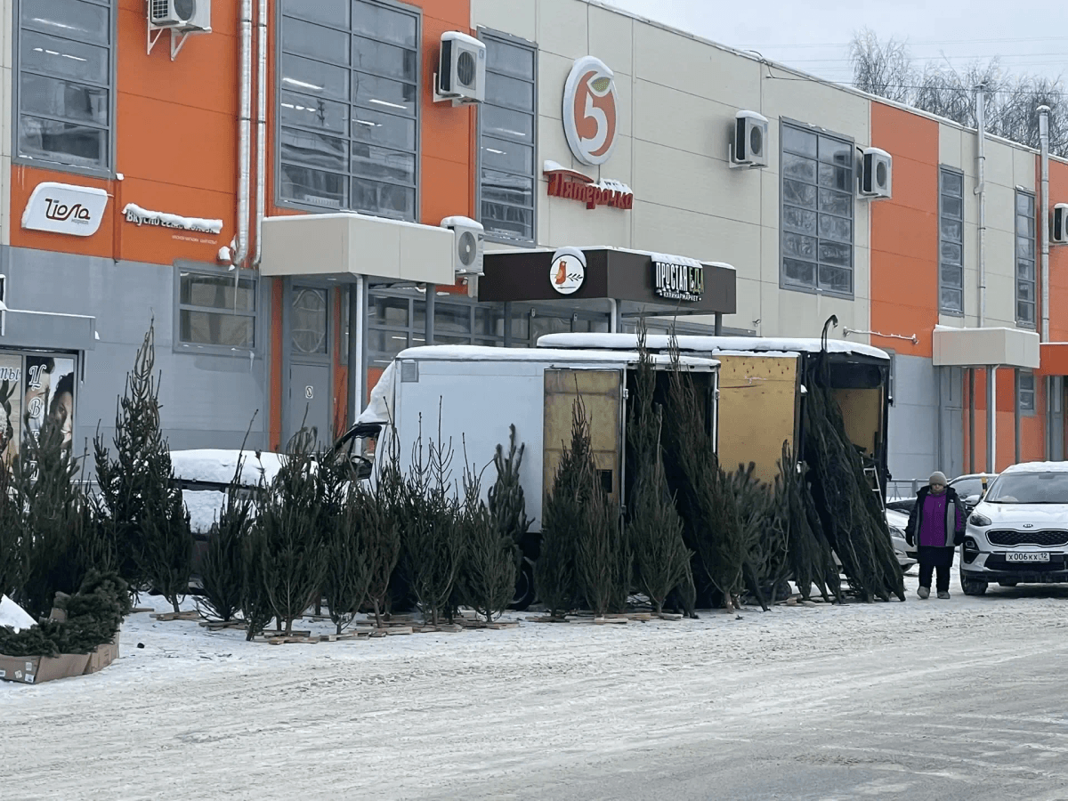 В Йошкар-Оле пресекли незаконную торговлю пиротехникой и ёлками