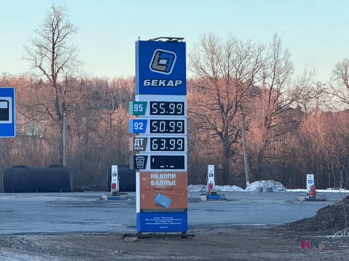 Цены на топливо в Марий Эл снизились в ноябре