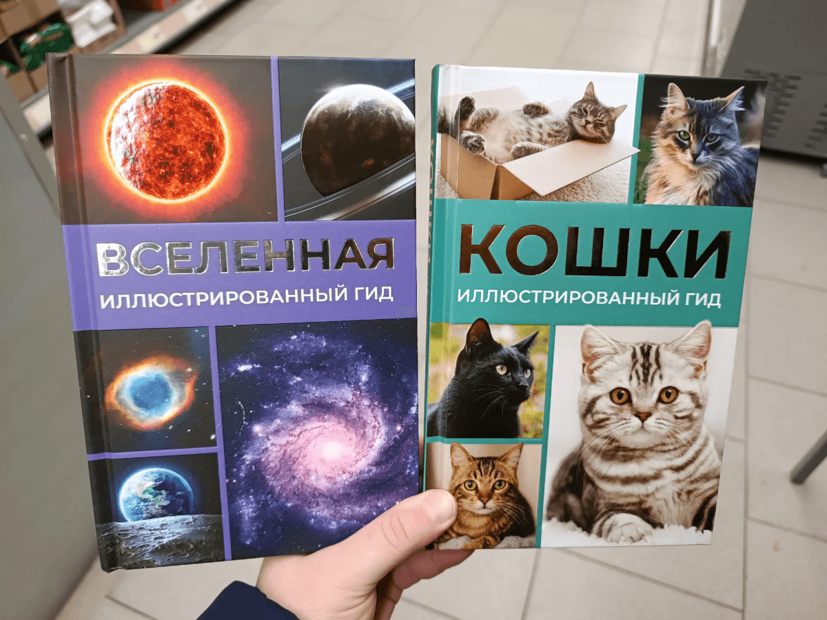 От книг до обуви: обзор из «ЧИЖИК» - большая партия товаров из нового каталога для кухни, дома и семьи