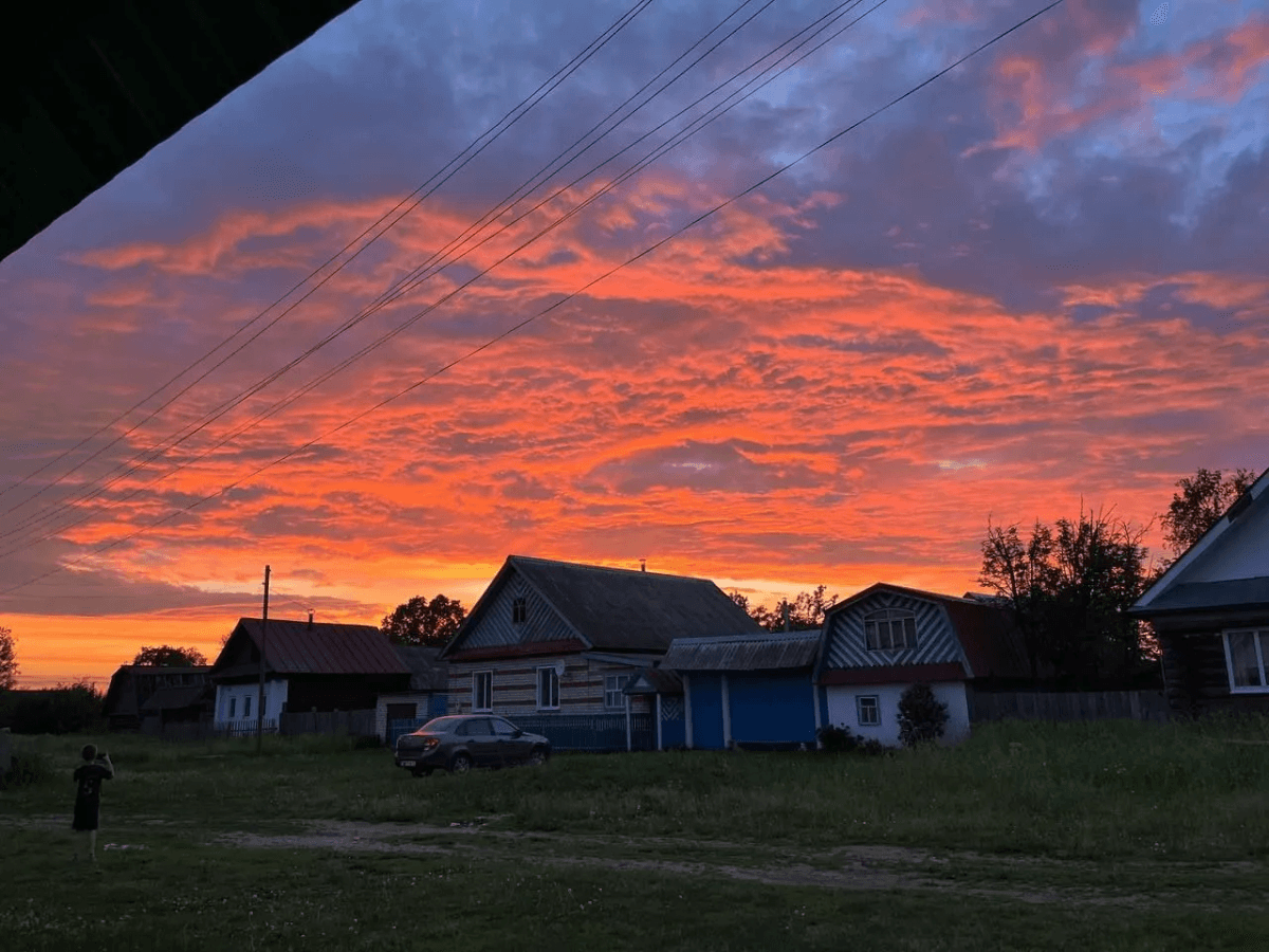 Вши с кур сбегут, сверкая пятками: закидываем 3 веточки в курятник — и облысение несушкам больше не грозит