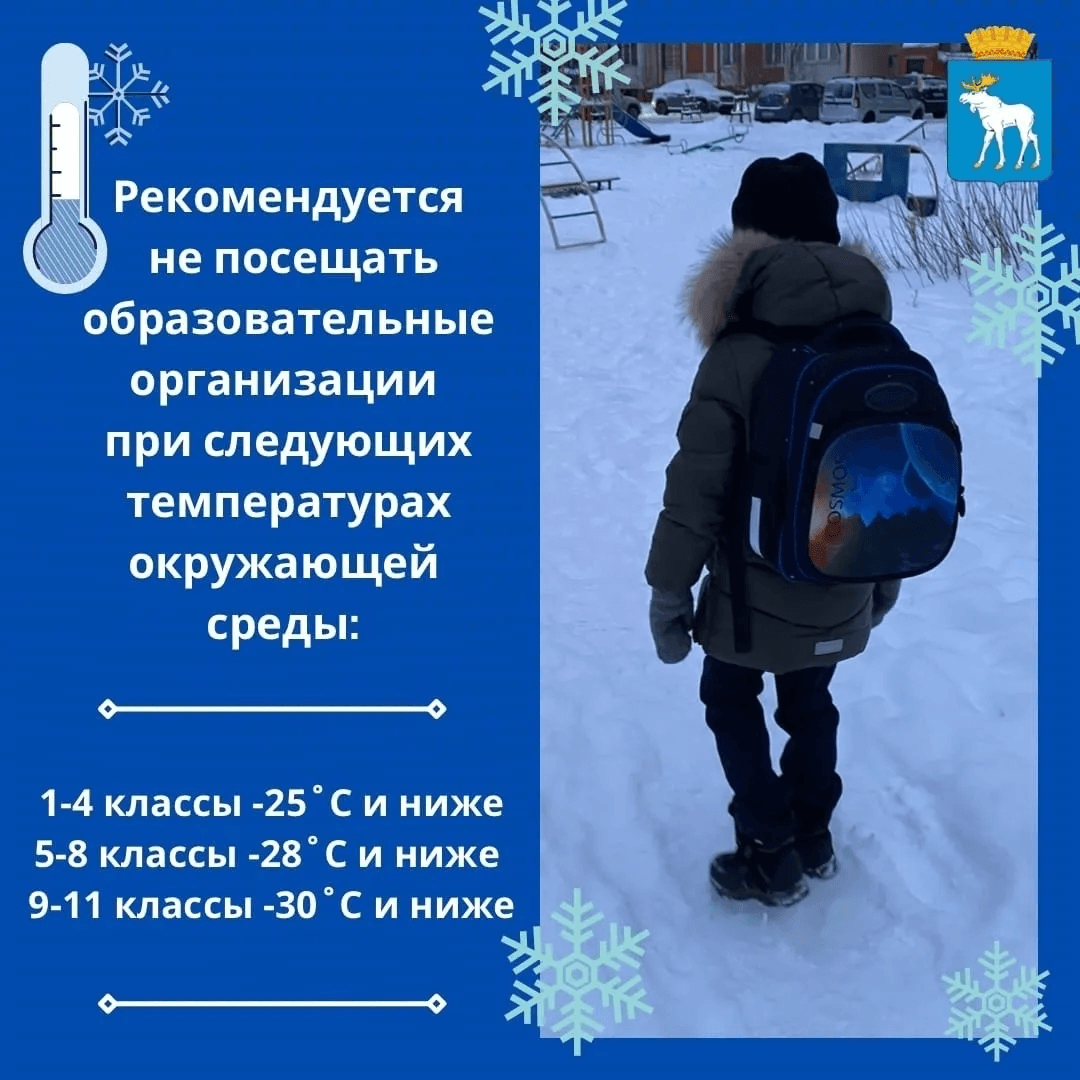 Мэрия Йошкар-Олы напомнила, надо ли идти в школу, если за окнами мороз и ветер