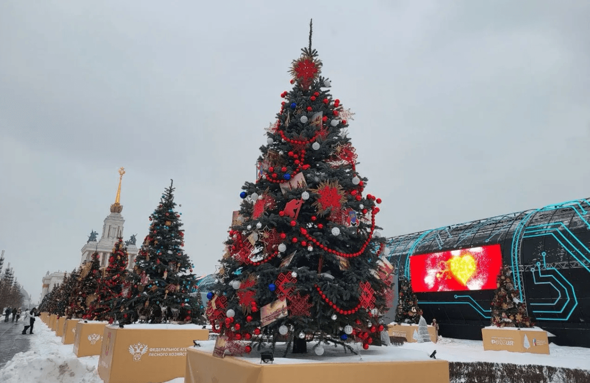 Ёлка Марий Эл с гербом и лосями украсила ВДНХ в Москве