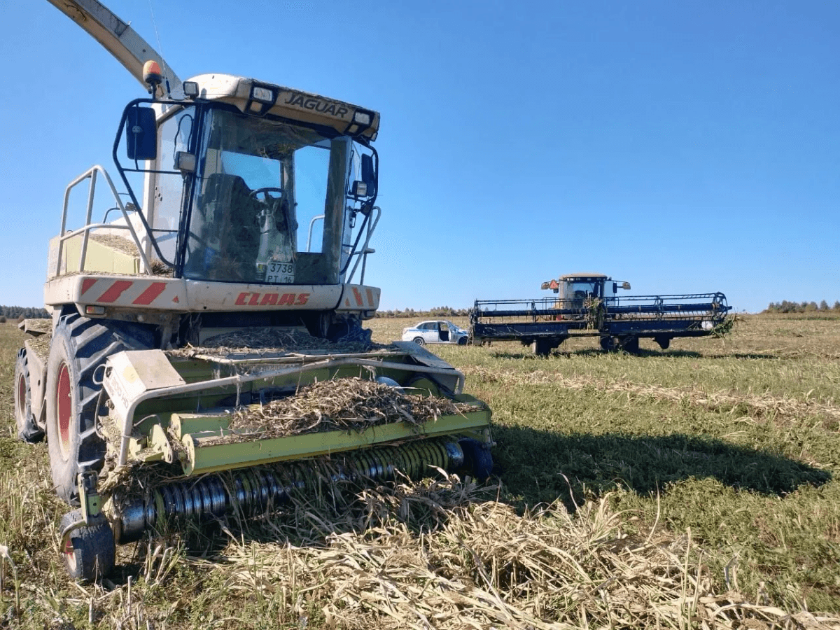 Аграрии Марий Эл собрали на 31% больше зерна