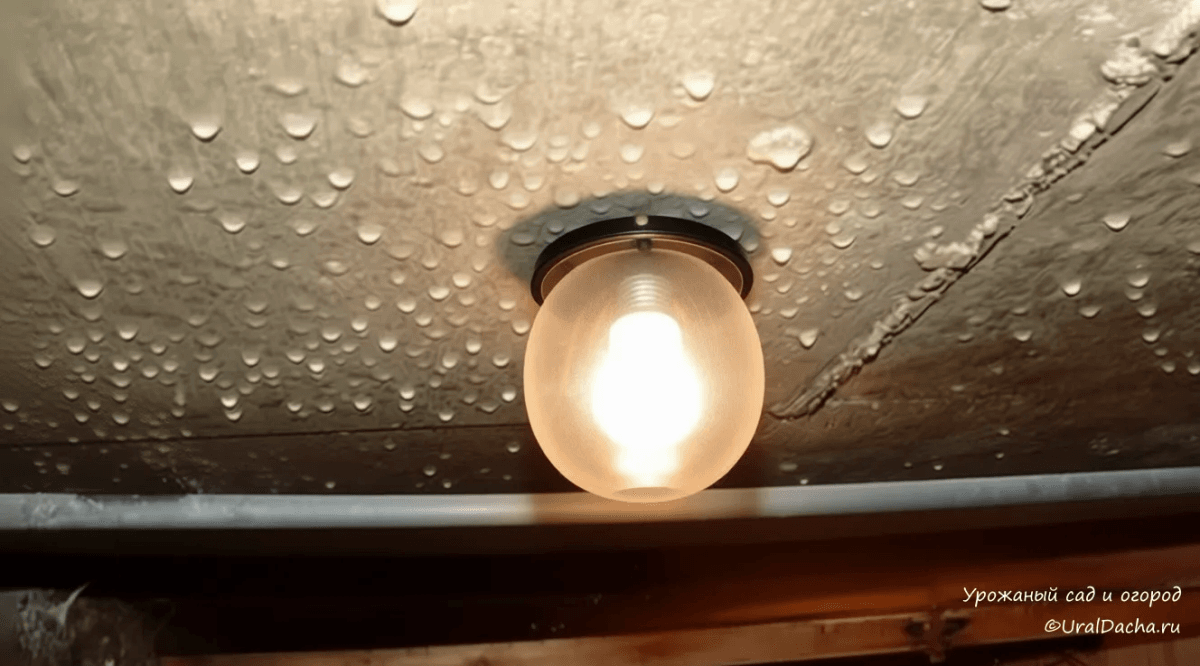 Больше не борюсь с конденсатом и сыростью в погребе — нашла проверенные средства 