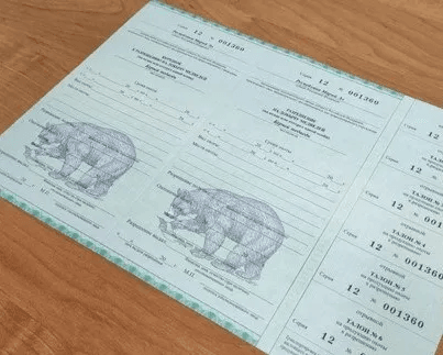 Сезон охоты на медведя в Марий Эл закрыт: названы сроки сдачи разрешений