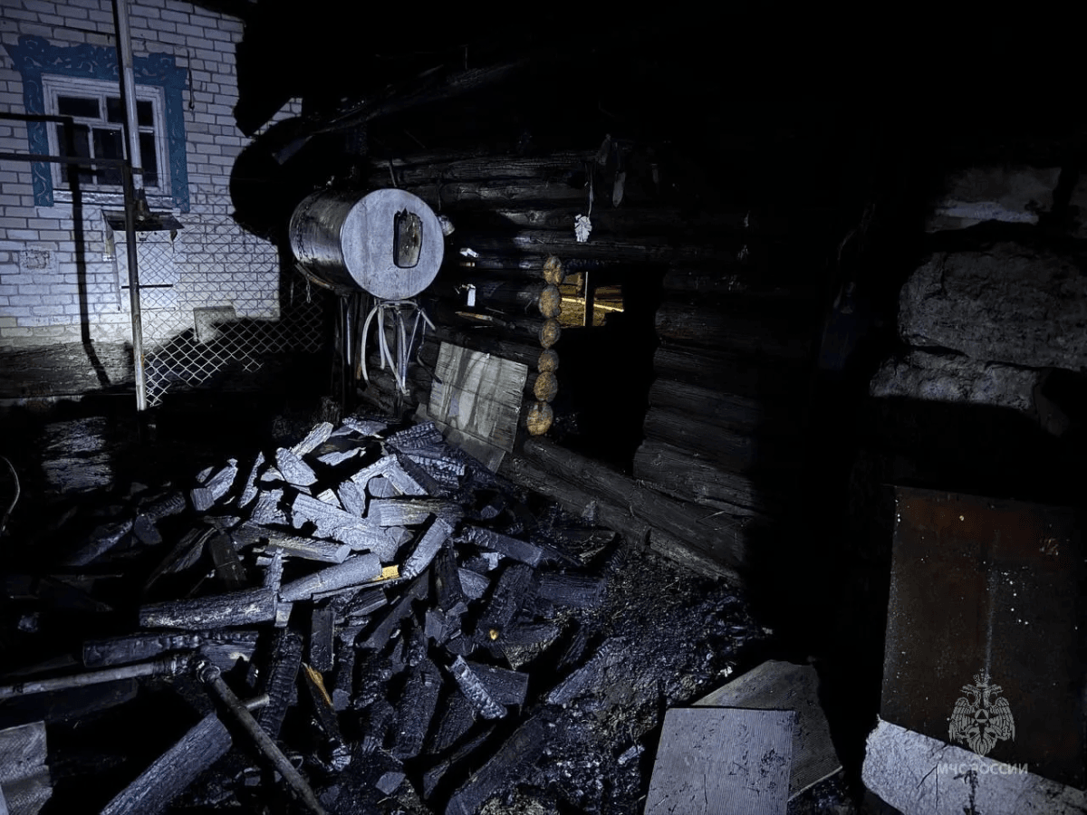 В Куженерском районе произошла ночная трагедия — куры сгорели в хлеву, но дом удалось спасти