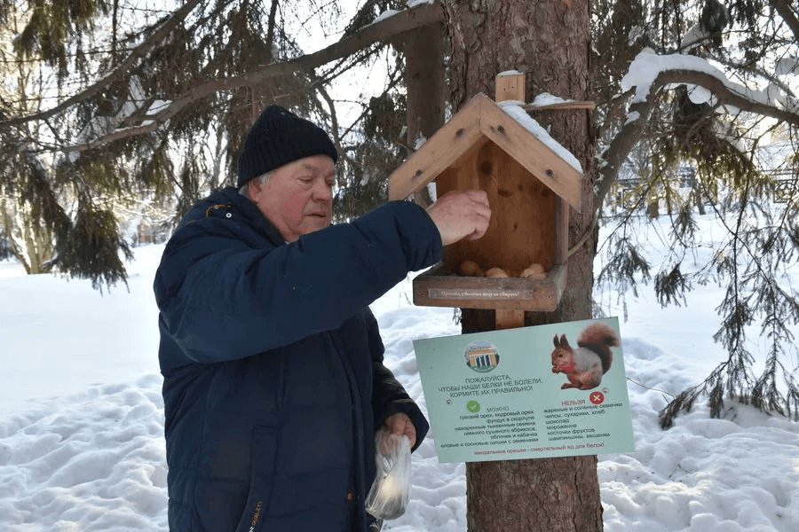 В Йошкар-Оле прошла зимняя акция по поддержке белок в Центральном парке