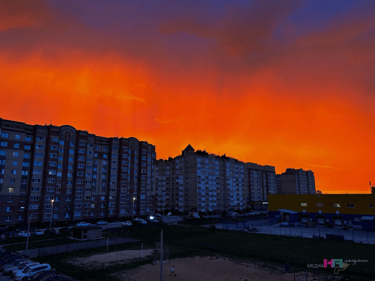 Это настоящие источники бедности в ваших квартирах: важно избавляться, чтобы избежать проблем