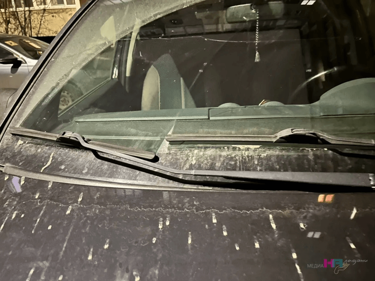 Щетки дворников больше не обмерзают:  чистят идеально и не оставляют полосок: делюсь методом