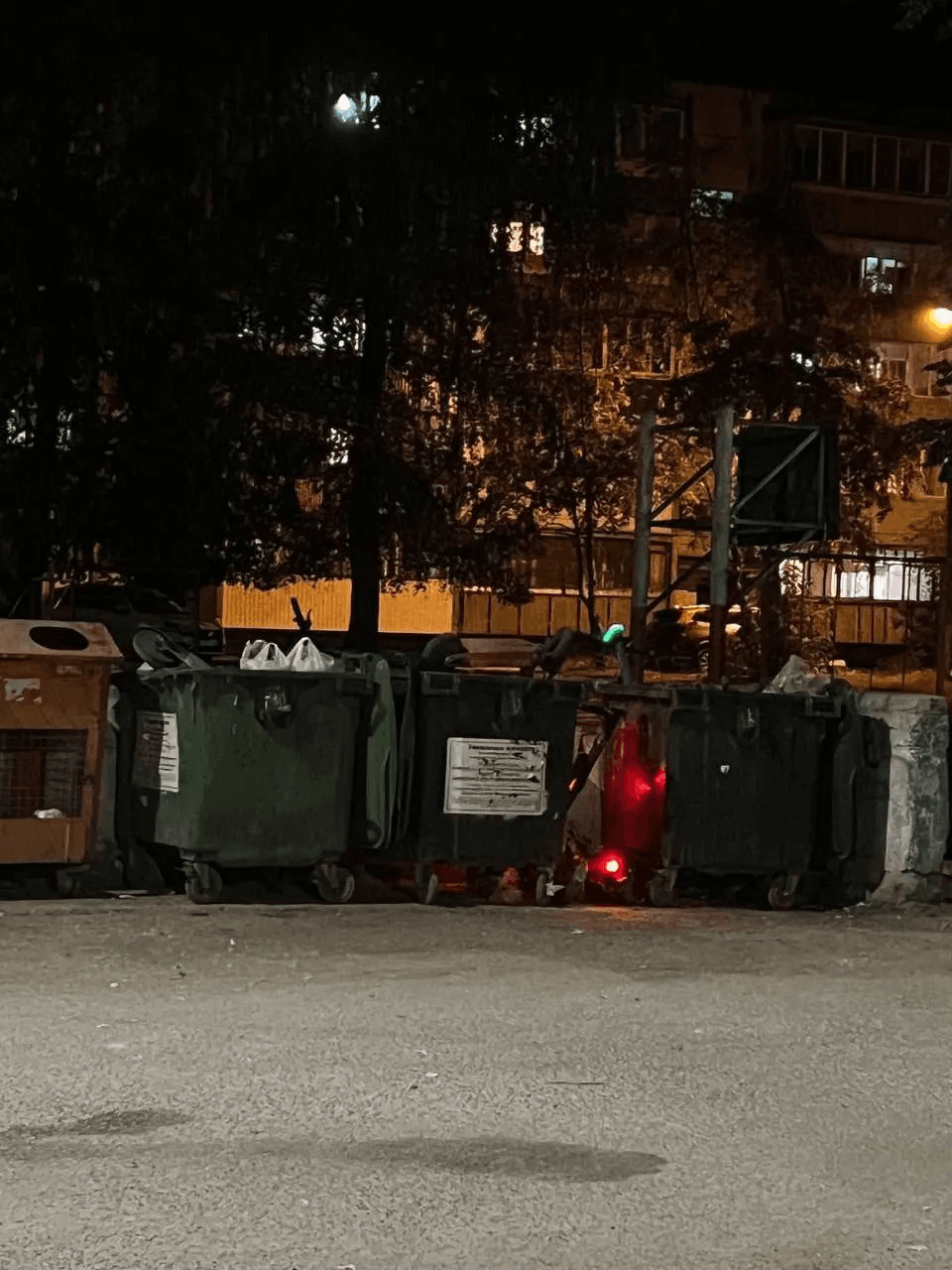 Йошкаролинцы брезгуют кататься на самокатах из мусорок