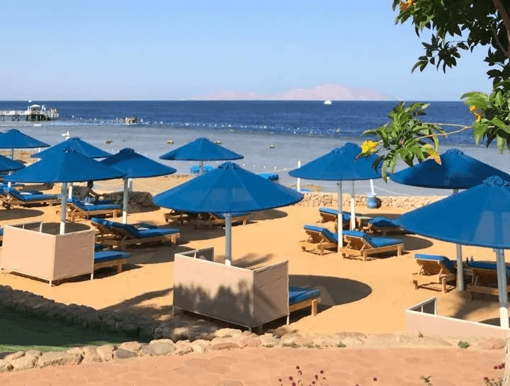 Кораллы, «весёлый» мармелад и древние камушки: какие сувениры из отпуска могут создать проблемы на границе